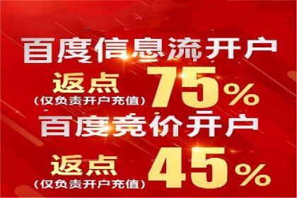 竞价端口开户后的广告投放策略案例